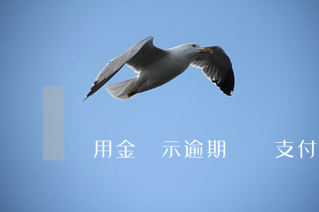 餓用金顯示逾期（餓電支付寶逾期）