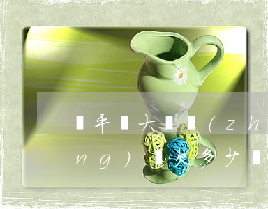 饒平縣大埕鎮(zhèn)陳創(chuàng)鋒欠多少網(wǎng)貸-饒平陳創(chuàng)波