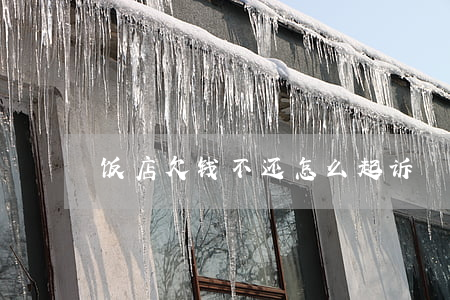 饭店欠钱不还怎么起诉