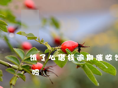 饿了么借钱逾期催收(饿了吗逾期会上门催收吗)