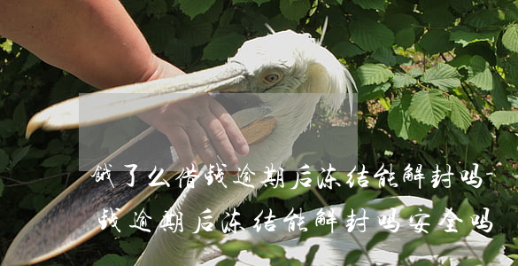 饿了么借钱逾期后冻结能解封吗-饿了么借钱逾期后冻结能解封吗安全吗