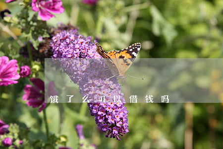 饿了么可以借钱吗
