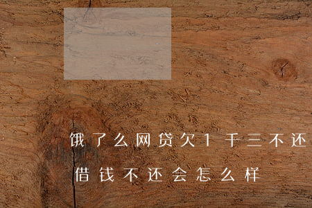 饿了么网贷欠1千三不还会怎么办-饿了么借钱不还会怎么样