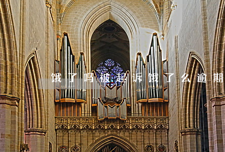 “饿了吗”被起诉（饿了么逾期会被起诉吗）