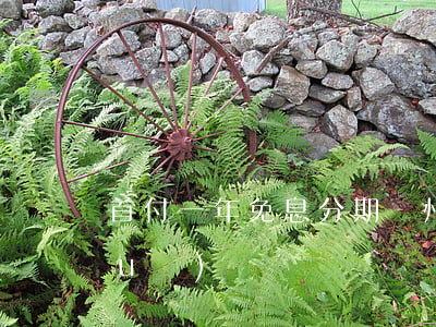 首付一年免息分期廣州 廣州首付款新規(guī)