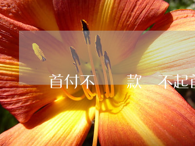 首付不夠貸款還不起(首付 不夠)