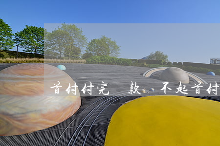 首付付完貸款還不起(首付后還不起怎么辦)