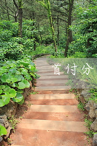 首付分期三年免息嗎(首付分期3年)