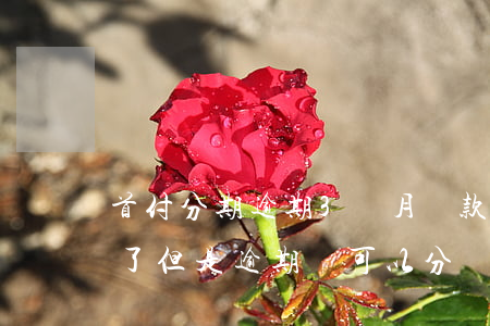 首付分期逾期3個月還款(以前分期付款還完了,但是逾期,還可以分嗎)