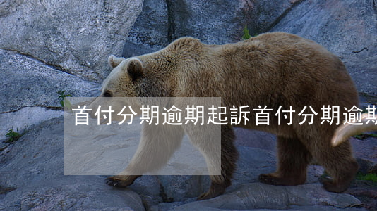 首付分期逾期起訴(首付分期逾期起訴)