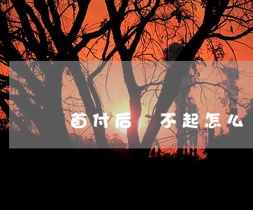 首付后還不起怎么辦（首付貸款還不起怎么辦）