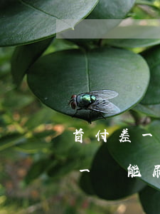 首付差一萬能刷信用卡嗎不逾期還-首付差一萬能刷信用卡嗎不逾期還款