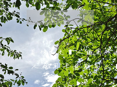 首付已交愛人信用卡逾期怎么辦 首付已交愛人信用卡逾期怎么辦