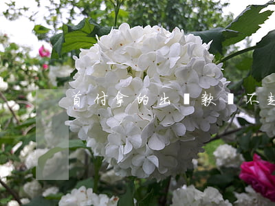 首付拿的出貸款還不起(首付付了還不起月供)
