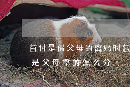 首付是借父母的离婚时怎么分(离婚房子首付是父母拿的怎么分)
