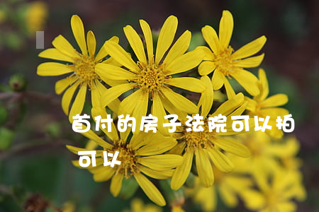 首付的房子法院可以拍賣嗎(法院起拍的房子可以買嗎)