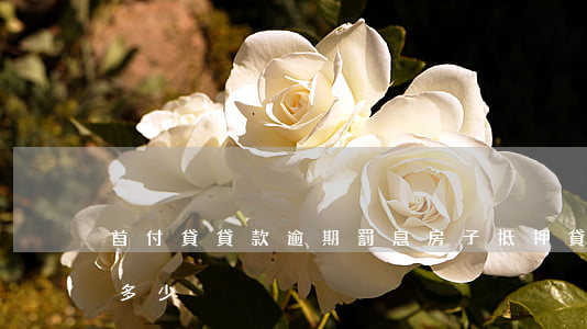 首付貸貸款逾期罰息(房子抵押貸款逾期罰息多少)