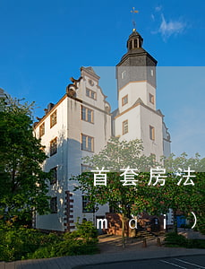 首套房法院可以強(qiáng)制拍賣(mài)嗎(首套房可以被法院拍賣(mài)嗎)