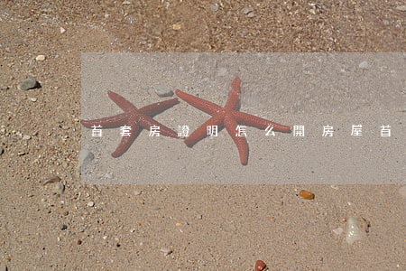 首套房證明怎么開(房屋首套房證明在哪里開)