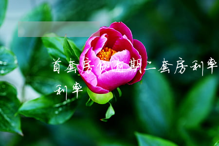首套房贷逾期二套房利率(最新第二套房贷款利率)