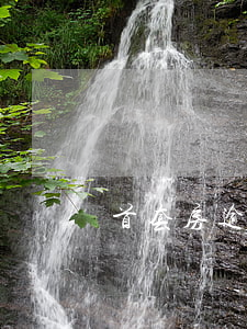 首套房逾期三次(首套房貸款逾期)