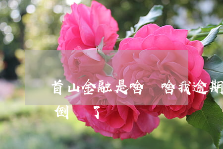 首山金融是啥為啥我逾期了(首山金融是不是倒閉了)