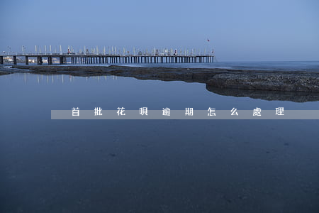 首批花唄逾期怎么處理