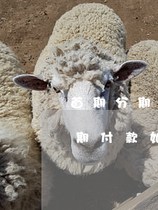 首期分期付款如果有逾期后來還了-首期分期付款如果有逾期后來還了會怎么樣