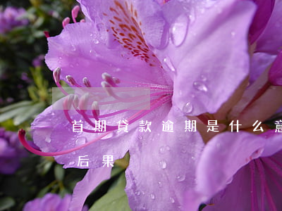 首期貸款逾期是什么意思(首期逾期造成什么后果)