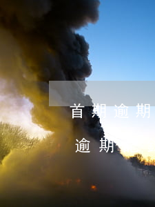 首期逾期貸款借據(jù)余額(已形成借款逾期記錄信息)