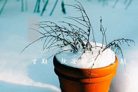 首期還款逾期英文(逾期還款啥意思)