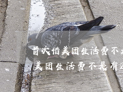 首次借美团生活费不是有还款券吗-首次借美团生活费不是有还款券吗安全吗