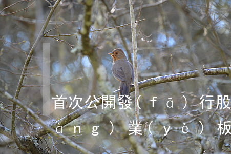 首次公開發(fā)行股票并在創(chuàng)業(yè)板上市管理辦法
