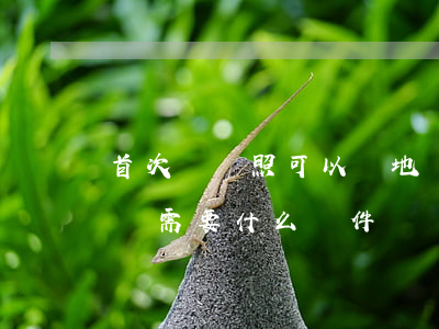 首次辦護照可以異地嗎(首次辦護照可以異地嗎需要什么證件)