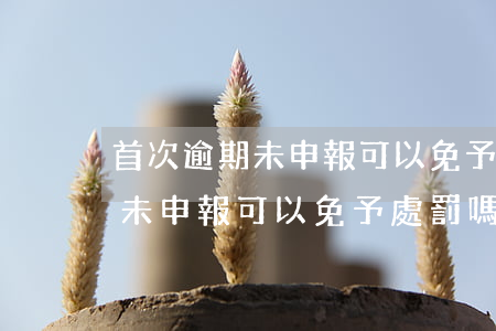 首次逾期未申報可以免予處罰嗎-首次逾期未申報可以免予處罰嗎