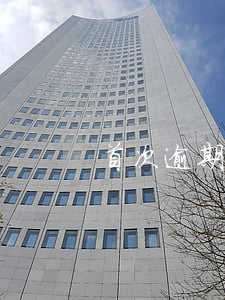 首次逾期申报网上补报流程及影响