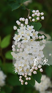 首次還款逾期一天的后果(逾期還款1天)