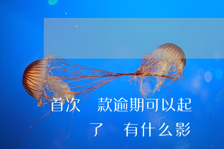 首次還款逾期可以起訴嗎(貸款逾期被起訴后歸還了還有什么影響嗎?)