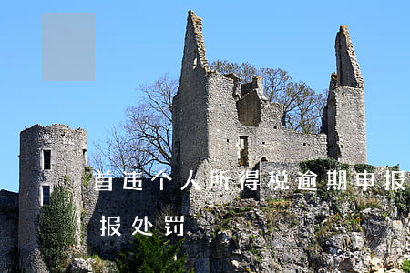 首违个人所得税逾期申报 个人所得税逾期申报处罚