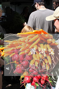 香河交通事故賠償標(biāo)準(zhǔn)(香河交通事故最新消息)