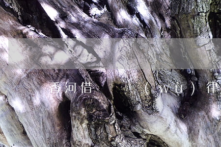 香河借貸債務(wù)律師費用