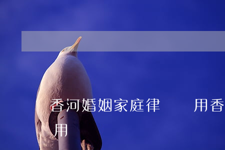 香河婚姻家庭律師費用(香河婚姻家庭律師費用)