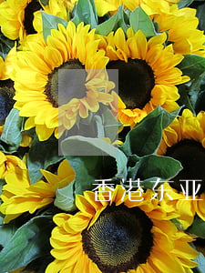 香港东亚信用卡逾期(香港东亚信用卡逾期)