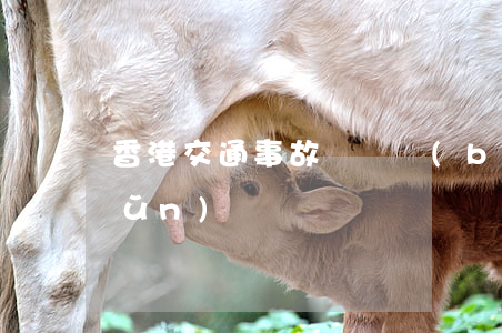 香港交通事故賠償標(biāo)準(zhǔn)