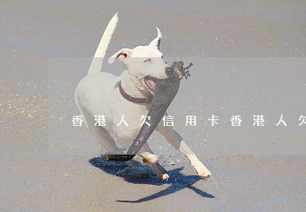 香港人欠信用卡 香港人欠信用卡怎么還款