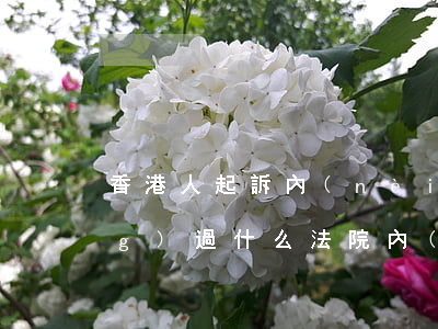香港人起訴內(nèi)地人要經(jīng)過什么法院（內(nèi)地人起訴香港人欠錢）