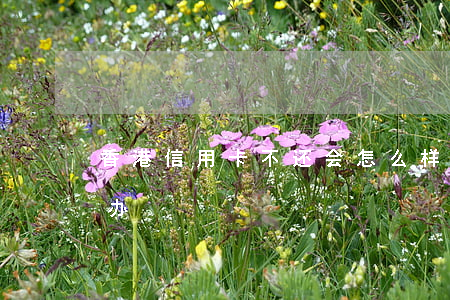 香港信用卡不还会怎么样(信用卡不还会怎么办)
