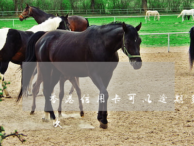 香港信用卡可以逾期多久(信用卡逾期保留多久)