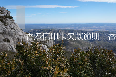 香港信用卡欠款逾期費(香港信用卡欠款逾期費)