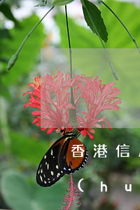 香港信用卡逾期不還(香港信用卡逾期不還會(huì)怎么樣)